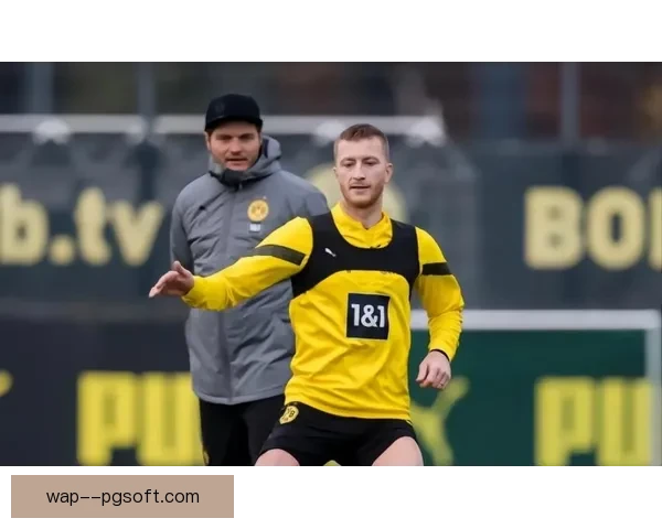 多特蒙德阵容竞争激烈 主帅陷入幸福的烦恼困境