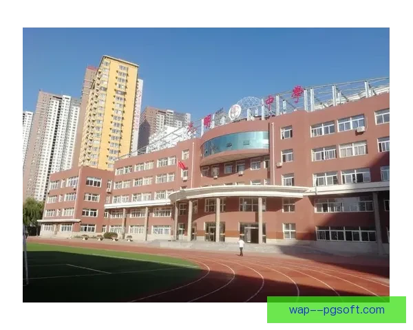 孙兴慜：从绿茵少年到世界巨星的奋斗与成长之路