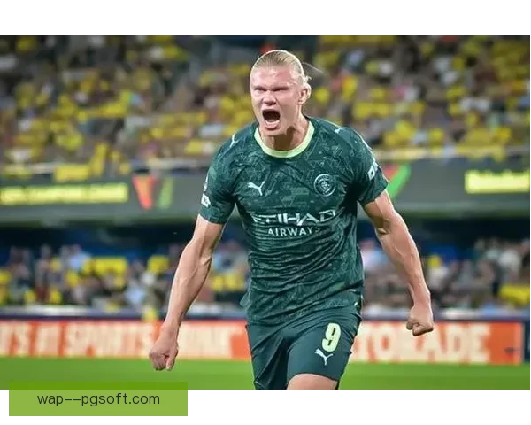 曼城引进哈兰德重磅签约震撼英超目标直指欧冠荣耀